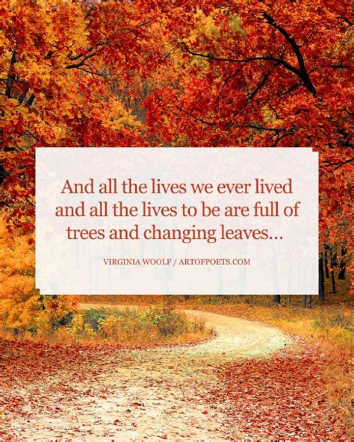 35 Quotes About Autumn Leaves
