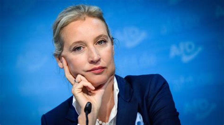 Alice Weidel Fortune