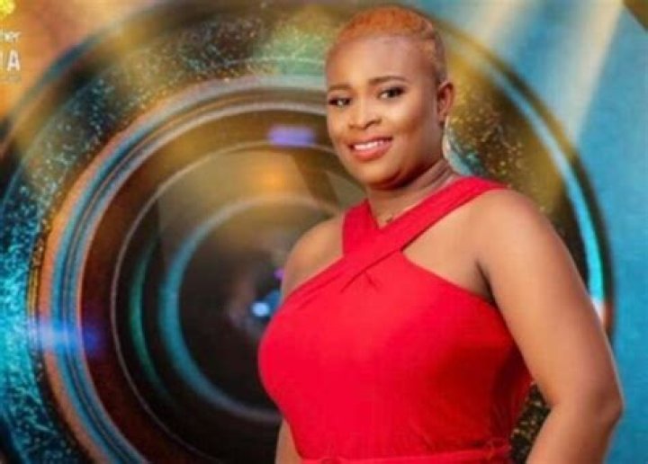 BBNaija Princess Biography: Age, Instagram, Wikipedia, Net Worth, Parents, State Of Origin, Boyfriend, Pictures