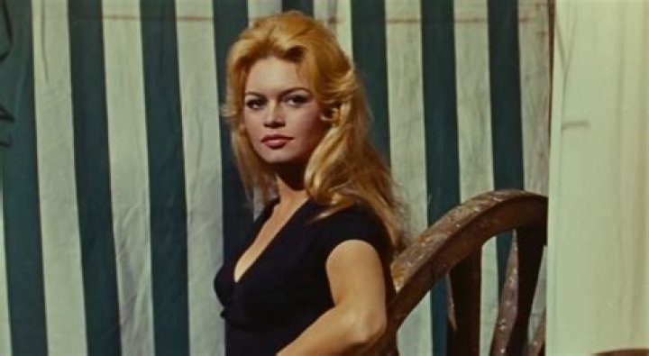 Brigitte Bardot Fortune, Carrière & Salaire