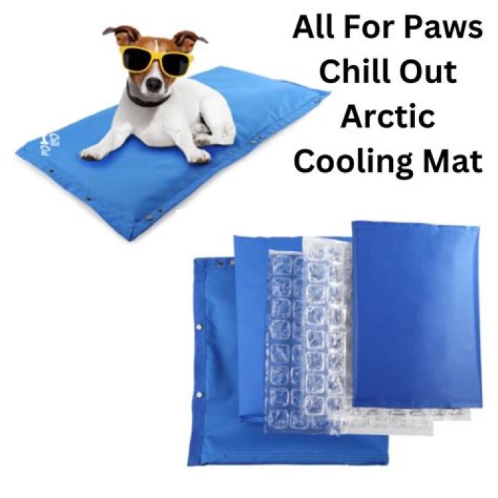 Cooling Mat For Dogs How Do They Work?