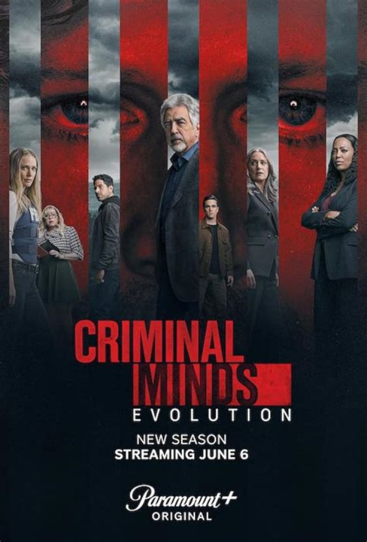 Criminal Minds Recap 1/21/15: Season 10 Episode 12 “Anonymous”