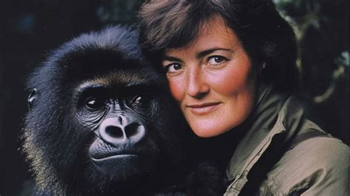 Diane Fossey Mort