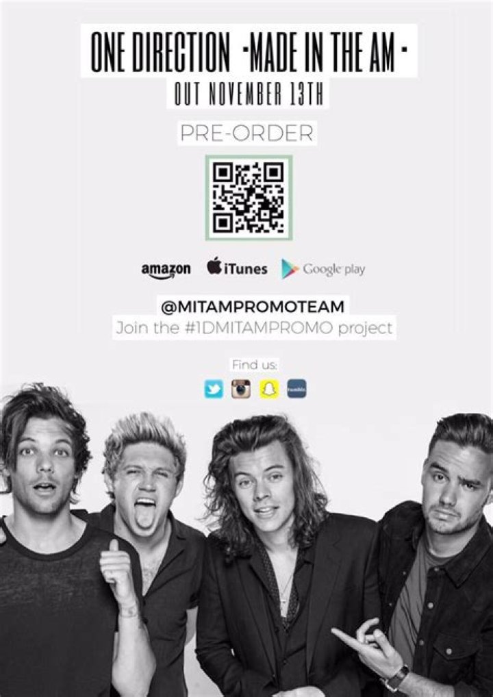 Directioners Win Best Fandom at the CelebMix Awards