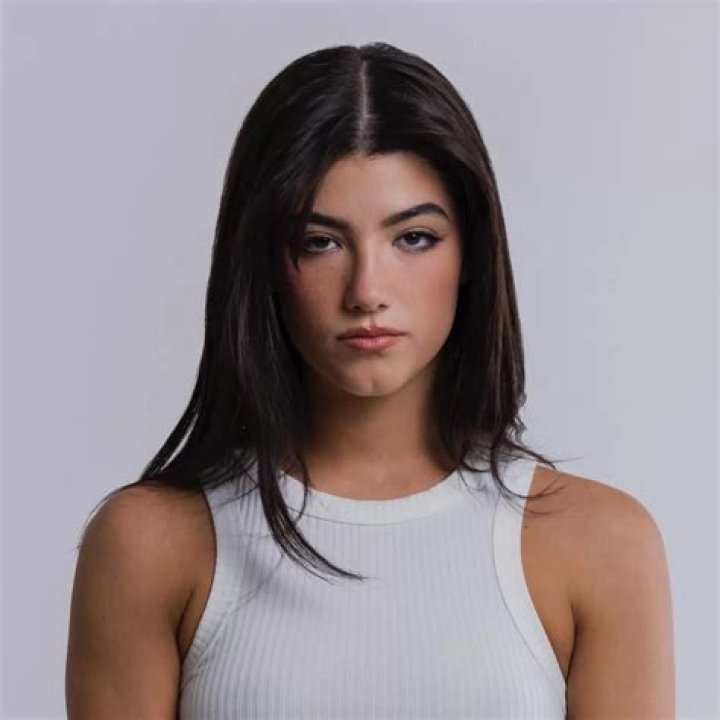 Dixie D'Amelio Biography: Age, TikTok, Boyfriend, Net Worth, Height, Real Name, Instagram, Tour, Songs, Wikipedia, Twitter