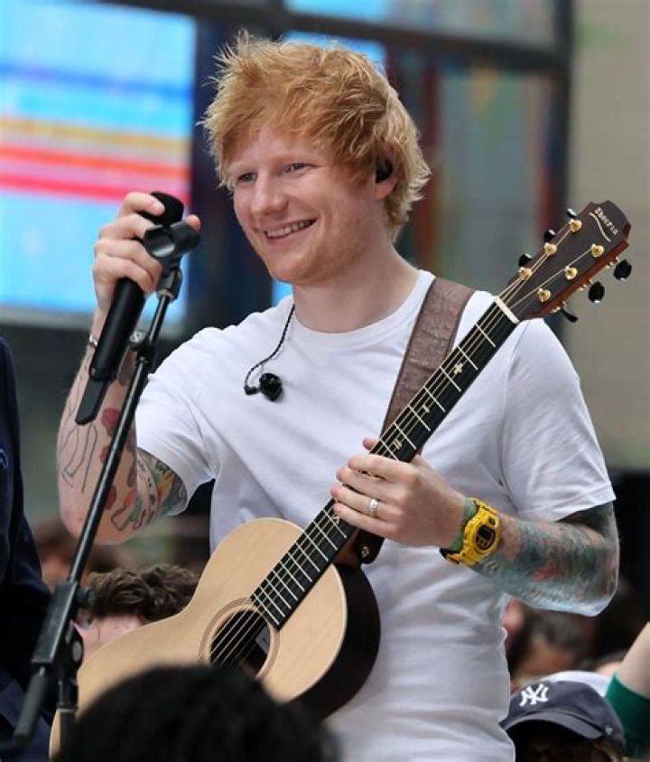 Ed Sheeran is Going to Star in The Simpsons