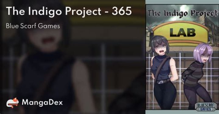 EXCLUSIVE: Interview With The Indigo Project