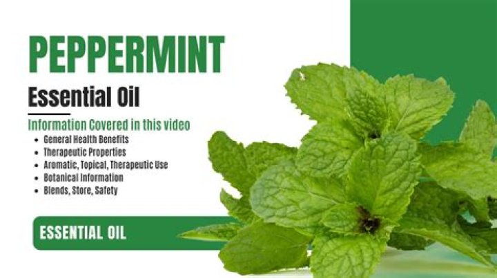 EXCLUSIVE: Premiere of Peppermint Heaven's 'Real Religion'