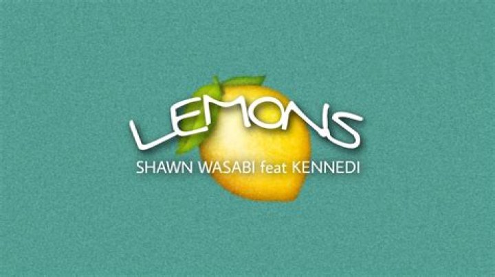 EXCLUSIVE: Shawn Wasabi Chats About 'LEMONS'