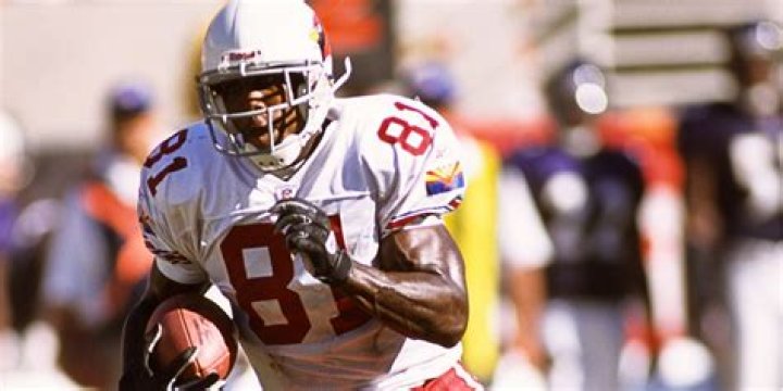 Fame | Anquan Boldin net worth and salary income estimation Jan, 2024