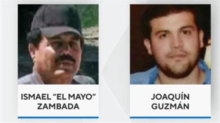 Fame | El Chapo de Sinaloa net worth and salary income estimation Apr, 2024