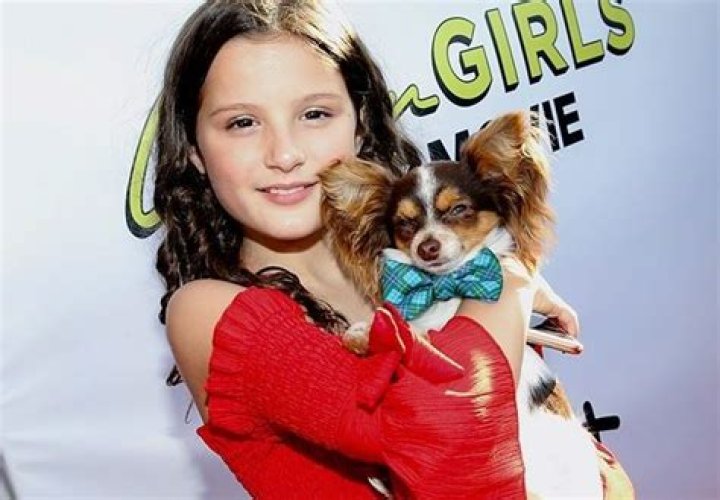 Fame | Marlon LeBlanc net worth and salary income estimation Jan, 2024