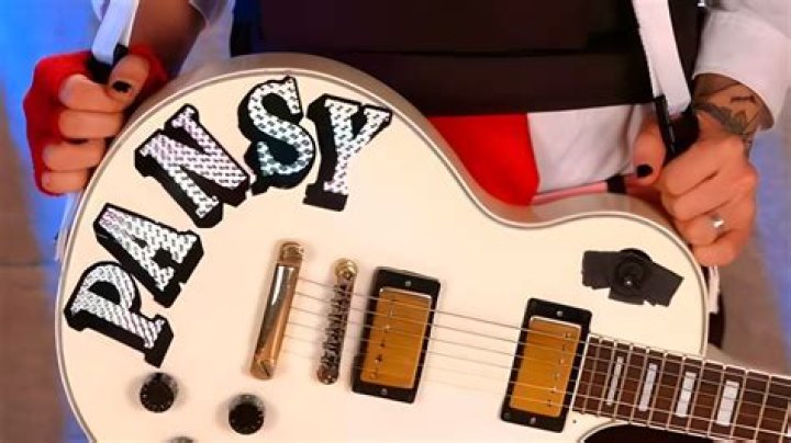 Frank Iero Asks Fans For Privacy On Tour