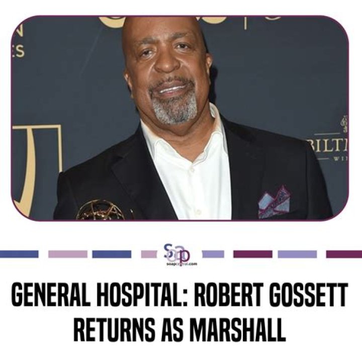 General Hospital Spoilers: Robert Gossett Off Contract – Is Marshall Ashford Exiting GH?