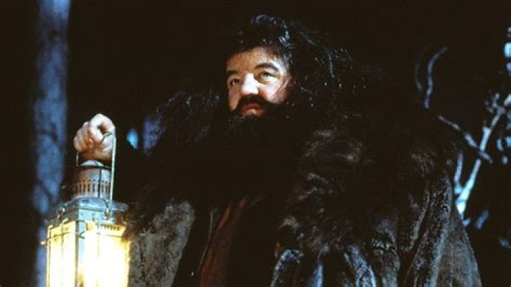 Hagrid Mort De Quoi