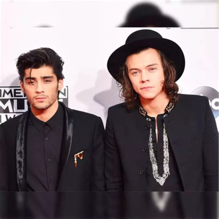 Harry Styles and Zayn Malik Enjoy Oral Sex On Stage (VIDEO)