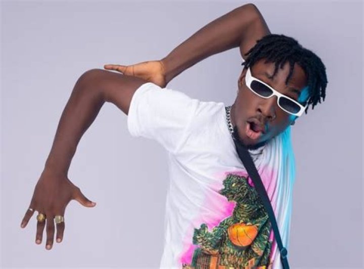 Incredible Zigi Biography: Age, Net Worth, Parents, Spouse, Instagram, Height