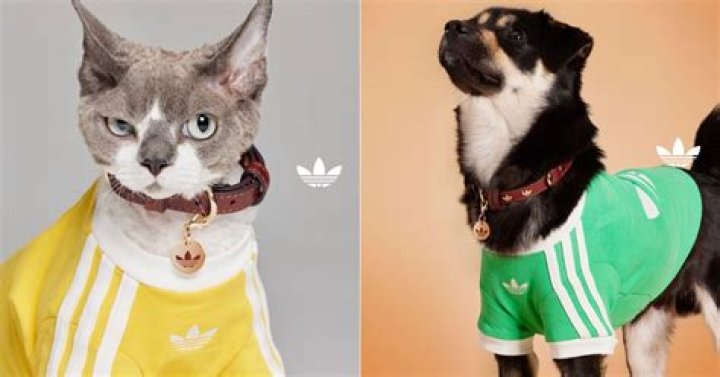 Love Island's Rachel Fenton launches clothing range