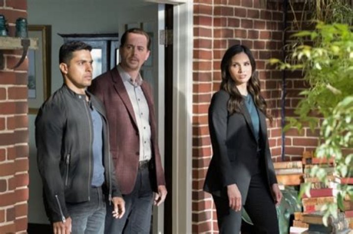 NCIS Finale Recap 05/24/22: Season 19 Episode 21 “Birds of a Feather”