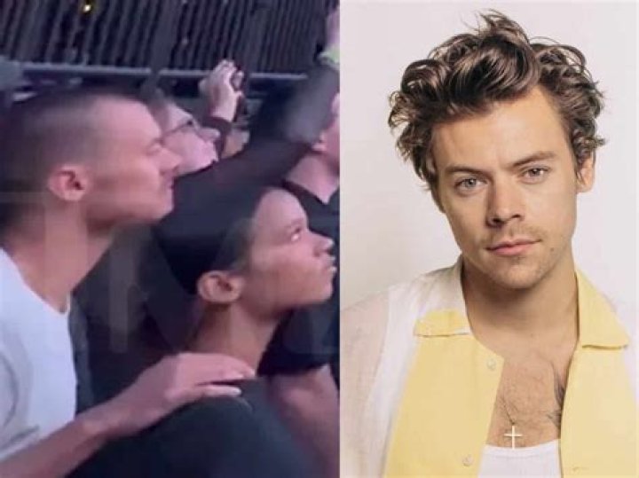 One Direction Fans Work to #SaveSkylark in Honor of Harry Styles' Dunkirk Film Debut