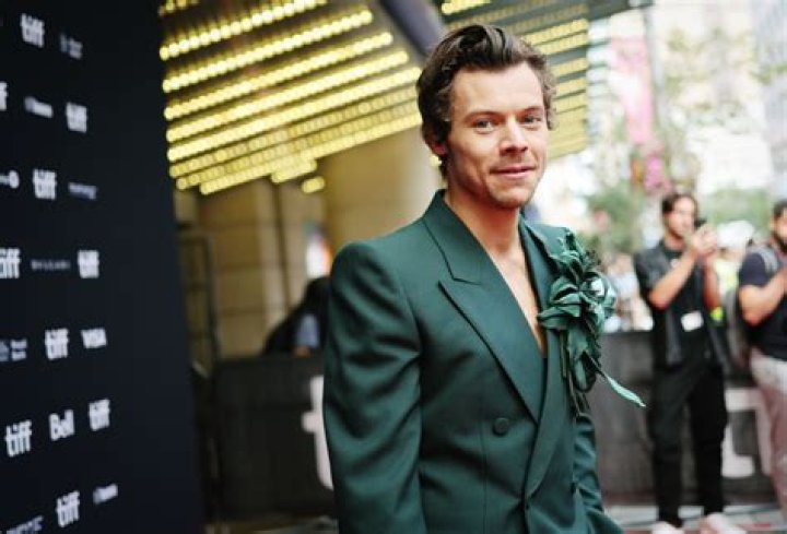 One Direction Harry Styles, Gay—Fact or Fiction?