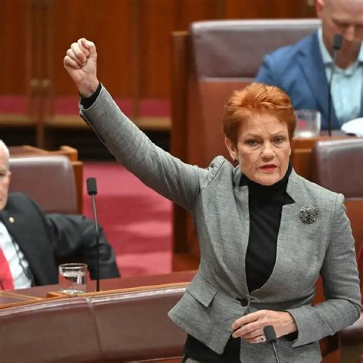 Pauline Hanson Biography: Age, Net Worth, Pictures, Children, Twitter, Husband, Awards, Height