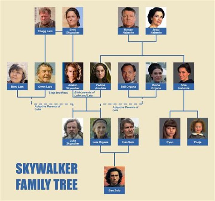 Rey Skywalker Parents