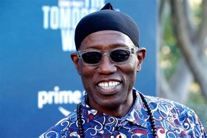 Wesley Snipes Biography: Wife, Movies, Age, TV Shows, Net Worth, Height, Children, Instagram