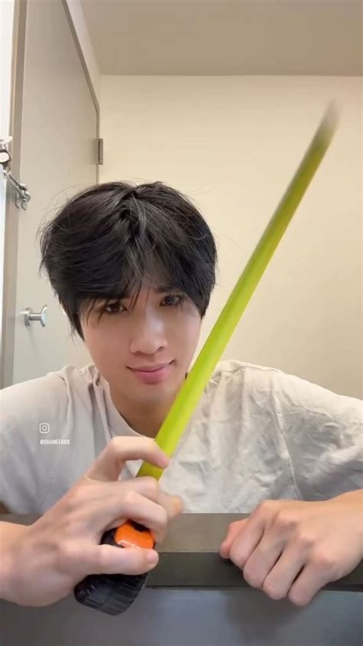 What is Shane Gould doing now? Will She Survive In Australian Survivor? Explore Her Wiki & Net Worth!