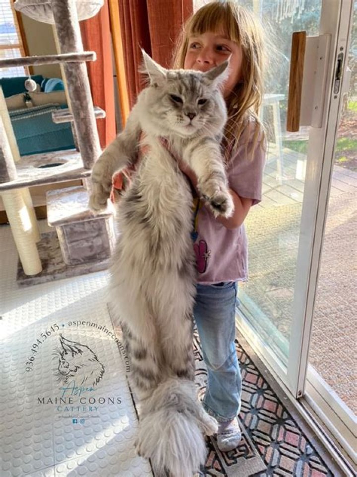 What is The Maine's Snapchat?