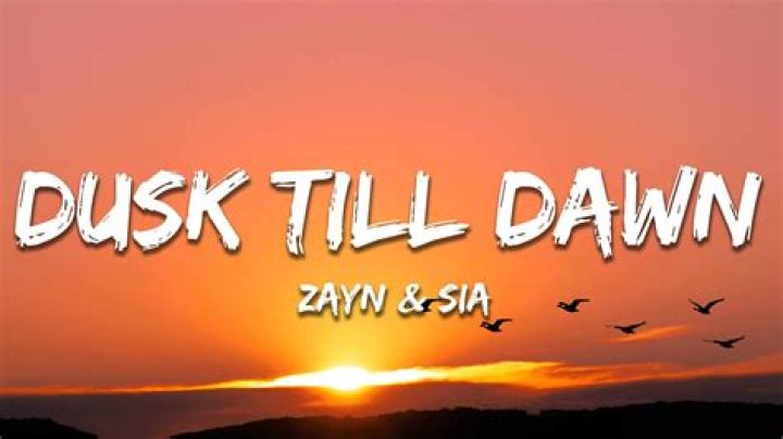 Zayn and Sia's 'Dusk Till Dawn' is Featured in 'Mountains Between Us' Trailer