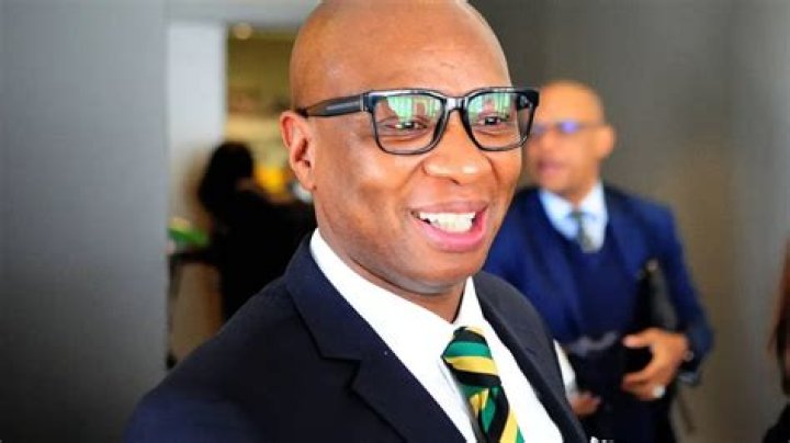 Zizi Kodwa Biography: Age, Wikipedia, Net Worth, Salary, House, Cars, Wife, Latest News, Wedding